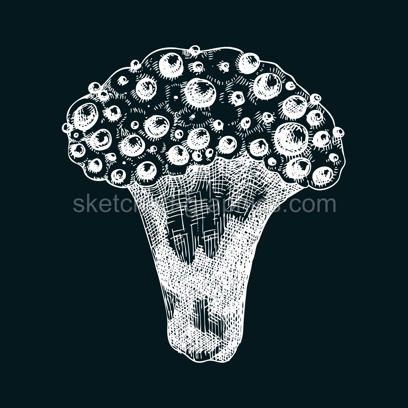 Bleeding tooth mushroom sketch. Weird fungus illustration in vintage style. Hand-drawn forest plant. Devil's tooth - exotic mushroom drawing on chalkboard Illustration